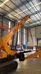 Grúa Araña Multifuncional con Capacidad de Desplazamiento, Puede Equiparse con Cesta Colgante para Trabajos Aéreos - Product Image 2