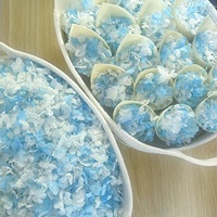 Kelopak Bunga Hydrangea Asli Awet Terawetkan Campuran Kecil Biodegradable untuk Dekorasi Meja Pesta Pernikahan Hari Valentine