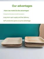 Assiettes carrées robustes jetables en feuille de palmier biodégradables, compostables et réutilisables, lot de 200 pour fêtes