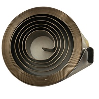 Ressort de torsion en spirale plate OEM en acier et acier inoxydable pour dévidoir de tuyau de machine à ramer