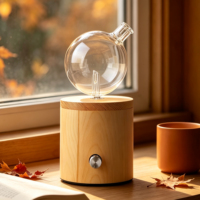 Diffuseur d'arômes en bois pour chambre à coucher, yoga, spa, diffuseur d'huiles essentielles sans eau, nébulisation