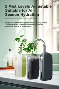 New Portable Outdoor Electric <b>USB</b> Rechargeable Ionic Sprayer Skin Care Moisturizing Bottle Home Self Spray Tanning Device - Product Image 3