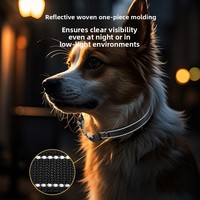 Collier pour chien AirTag en nylon, réfléchissant, imperméable, avec housse transparente, anti-perte, localisateur d'animaux, toutes saisons, monochrome, vente chaude