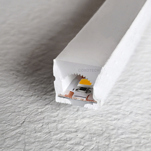 Bande lumineuse LED néon <span class=keywords><strong>1010</strong></span> 24V IP68 IP66 étanche en silicone pur haute densité sans points, flexible pour l'aménagement extérieur - Product Image 3