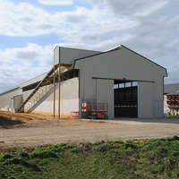 Cadre en acier léger de conception moderne volaille de grange de ferme à grande échelle structure en acier ferme automatique de poulets de chair élevage de poulets
