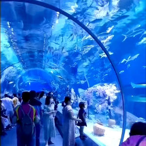 Acuario de Acrílico para Peces, Túnel Submarino, Super Grueso de 400 mm, Resistente al Agua y a las Infiltraciones - Product Image 4