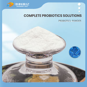 El polvo probiótico de calidad alimentaria altamente activo promueve la salud intestinal Lactobacillus rhamnosus - Product Image 6