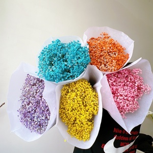 Baby Breath Dried <strong>Flowers</strong> Pampas Grass 120g/bunch Wholesale Decorative Eternal Bouquet For Graduation Christmas Easter - Product Image 4