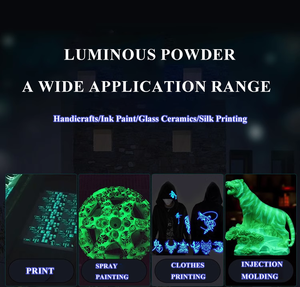 Long Lasting Photoluminescent <b>Powder</b> Fluorescent 5 Color Pack Glow in the Dark Pigment <b>Powder</b> - Product Image 6