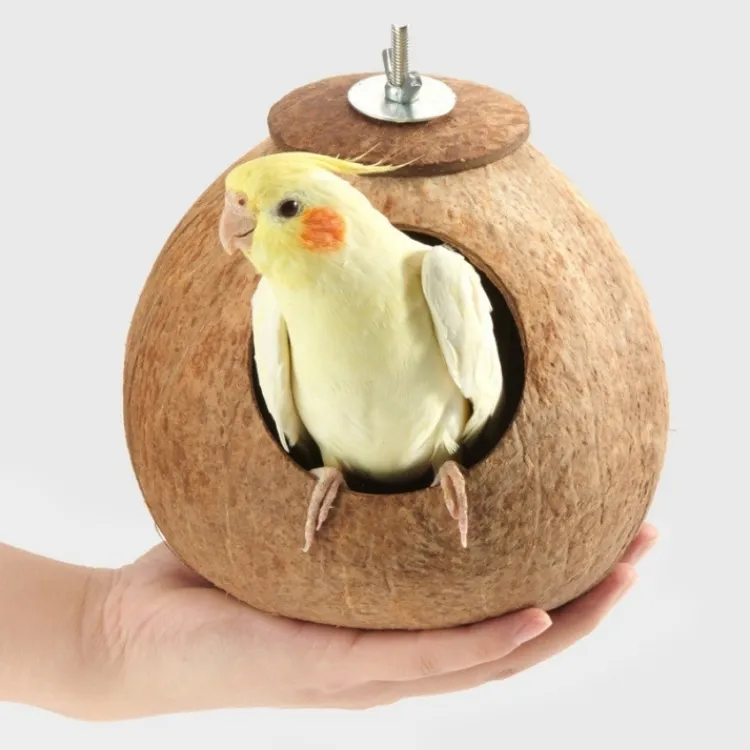 निर्माता थोक प्यारा नारियल शेल आकार पालतू तोते गर्म घोंसला