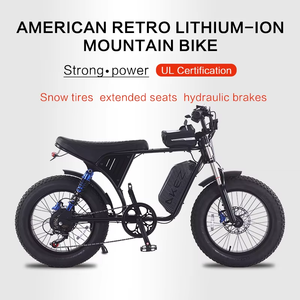 Vélo électrique longue portée X9-8 avec cadre en acier, batterie au lithium 15AH 48V, prise EU, porte-bagages arrière, double suspension, freins à disque hydrauliques, 250W - Product Image 3