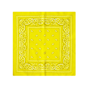 <span class=keywords><strong>Cou</strong></span> élégant Bandana écharpe Bandanas de haute qualité pour hommes femmes Cowgirl Bandana visage couverture Cowboy Western accessoires de plein air - Product Image 3