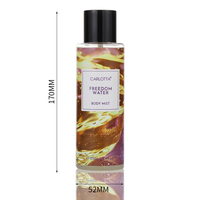 Déodorant unisexe frais en spray Eau de Toilette 250 ml, vente directe usine, parfum chimique pour jour et nuit