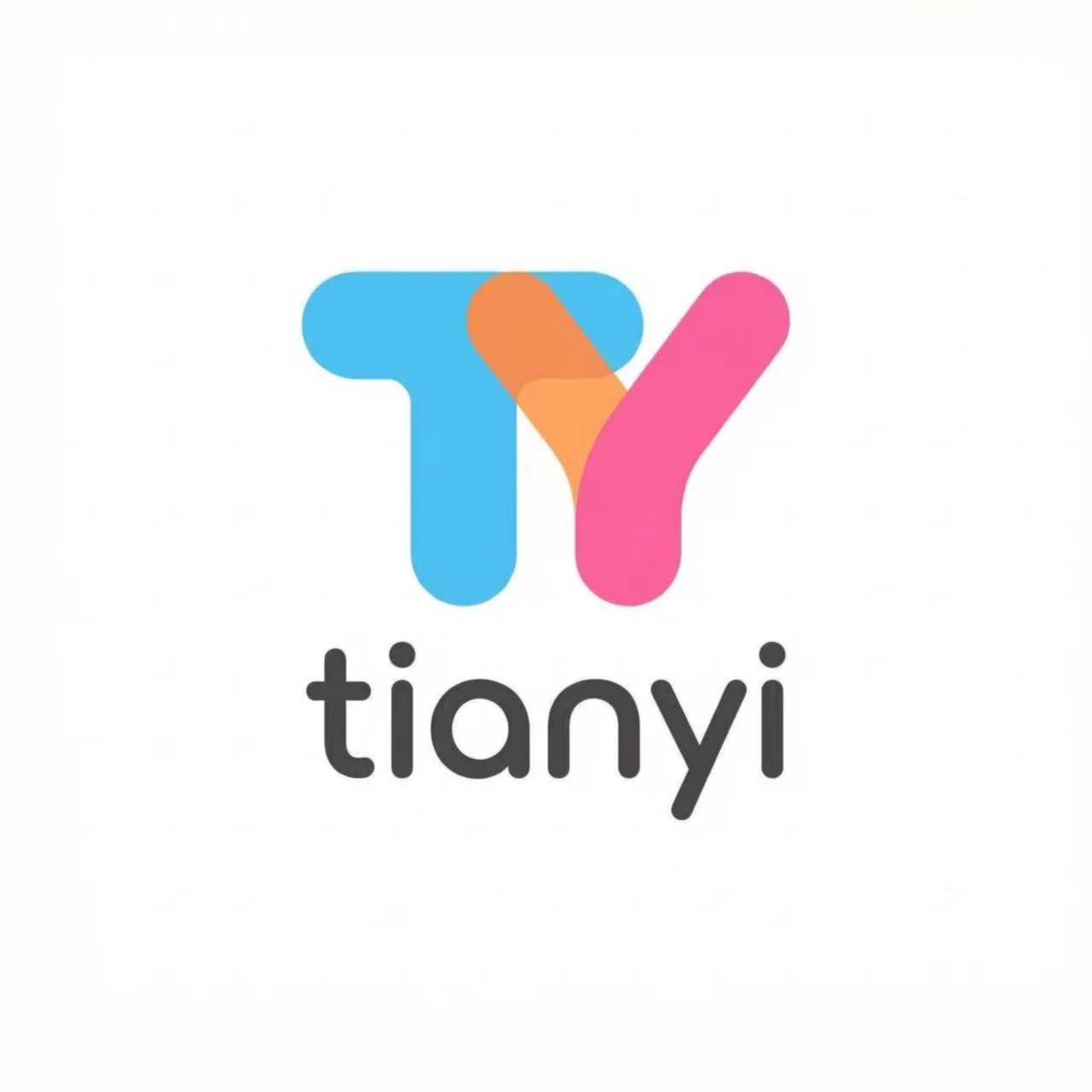 Longgang Tianyi Arts And Crafts Co., Ltd. logo