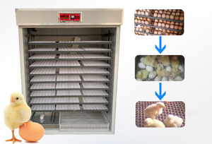 Incubateurs d'oeufs à bas prix d'usine Poulet grande machine à couver les oeufs incubateurs incubateur d'oeufs pour <span class=keywords><strong>canari</strong></span> - Product Image 4