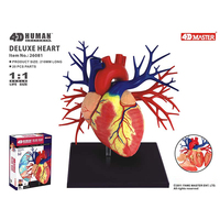 Modèle d'anatomie de cœur pour l'enseignement médicale, jouet assemblé de luxe, 20 pièces 4D, offre spéciale