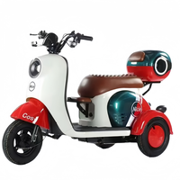 Moteur de moyeu arrière 1000W, double tension 60V/48V, tricycle électrique |   Vélo pour adultes à 3 vitesses, pneus larges, style tendance, cadre en acier au carbone, batterie au plomb-acide