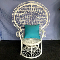 Chaise en rotin en osier pur fait à la main d'usine chaises de salon de jardin extérieur moderne chaises de paon chaise de loisirs d'intérieur de balcon de patio