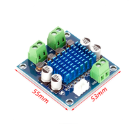 Carte d'amplificateur audio numérique HAZY D-Class haute définition XH-A232, module d'amplification audio TPA3110D2, 30W, 2 sorties
