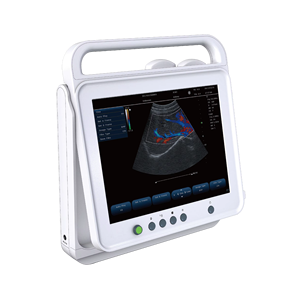 Draagbare 15 "Full Digitale Kleur Doppler Ultrasone Machine Scanner Veterinair Instrument <span class=keywords><strong>Echo</strong></span> Medische Ob/Gyn Ultrasonido Medico - Product Image 1