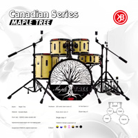 Batterie Beatello Maple Tree 522, qualité professionnelle, 5 pièces, instrument de musique pour adultes, kit de batterie jazz, comprend une cymbale