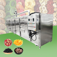 2025 Zeer Populaire 240Kg Per Partij Groentedroger Fruitdroogmachine/Voedseldehydrator/Industriële Voedseldehydratormachine