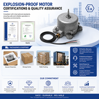 Motor Tahan Lama Tiga Fasa Anti Ledakan Tahan Air Asinkron 220V 100W 850RPM Efisiensi IE3 Pemasangan Panel