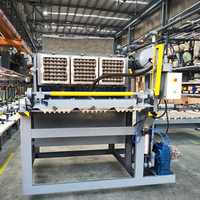 Machines de formage d'alvéoles pour barquettes à œufs en papier pulpe rotatif simple ZengTuo 1x3, 500-1000 pièces/h, vente en Afrique du Sud