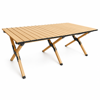 Table de camping pliante avec sac, table de pique-nique portable en aluminium, table de plage à faible hauteur, idéale pour l'extérieur