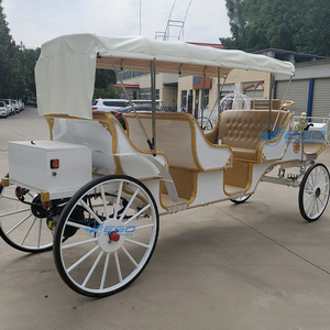 Carrosse de Victoria électrique pour le tourisme et les mariages, transport spécial, prix usine, à vendre - Product Image 4
