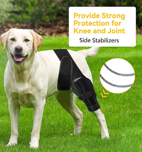 Tirantes transpirables de etiqueta privada para pierna de perro, rodillera ajustable para perro Acl para pierna trasera, pierna trasera, cuidado de las articulaciones, soporte para lesiones - Product Image 6