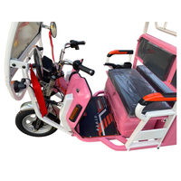 Navette électrique à trois roues, tricycle touristique rose pour zone touristique et hôtel