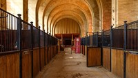 Écurie équestre organisateur de chevaux boîte écurie/grange