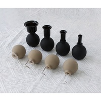 Ensemble de ventouses en verre et silicone pour le visage et le corps, ventouses de massage à aspiration sous vide, anti-cellulite, pots de ventouses faciales, soins de santé, cadeau