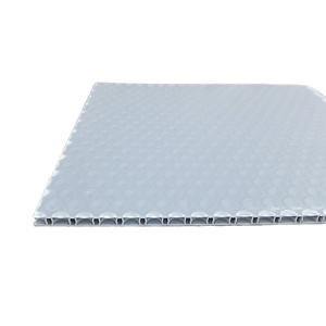 Panneau <span class=keywords><strong>alvéolaire</strong></span> anti-âge écologique gris brillant en <span class=keywords><strong>polypropylène</strong></span> (PP) GUANYU, plastique sur mesure, découpe 2-12 mm, livraison 3-10 jours - Product Image 4