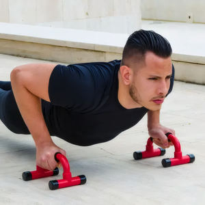 Barras de Flexiones Antideslizantes con Estructura Resistente para Entrenamiento de Fuerza y Ejercicios Musculares en Casa - Product Image 3