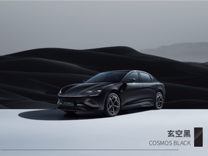 Stuur Rechts Voertuig Byd Zegel Mariene Esthetiek - Product Image 3