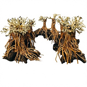 Decoración única hecha a mano para acuario, de madera flotante tipo bonsái, forma irregular, duradera, hecha en Vietnam, para pecera. - Product Image 1