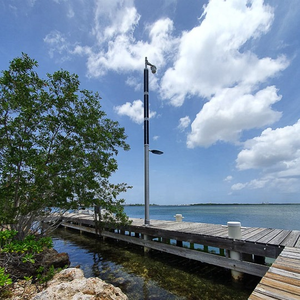 Nuevo panel <span class=keywords><strong>solar</strong></span> flexible 60W 40W 30W tubos solares poste de iluminación 6m 8M Columna de Luz de calle - Product Image 3