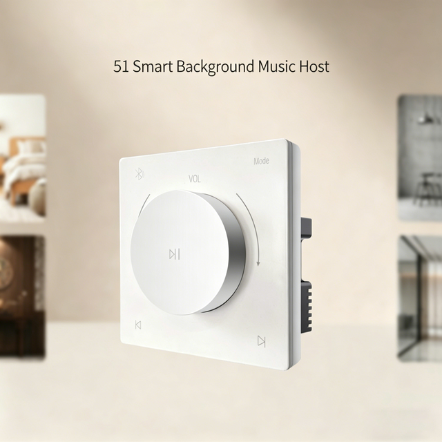 YZ-51 OEM ODM 15Wx2 Wall Mount Amplifier with Knob Control Rotatable Design 24/7 Operation for Home Hotel & Villa Use