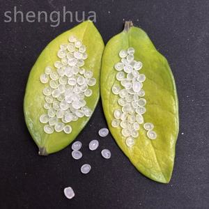 Matières premières de copolymère d'impact de pp granules vierges de polypropylène de pp MFI 28 pour le moulage par injection - Product Image 4