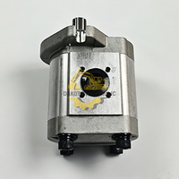 CASE Traktör MAXXUM 145 150 125 100 110 130 115 135 140 120 için Hidrolik Pompa 5192659 519-2659 86664800 87603409