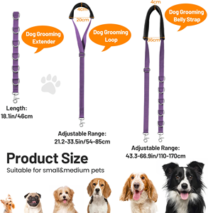 Laisse Flexible Réglable Pvc / Nylon Chat Chien Groom Boucle pour Table Bras Rallonge avec <span class=keywords><strong>Pince</strong></span> Extension Boucle Bain Retenue - Product Image 2