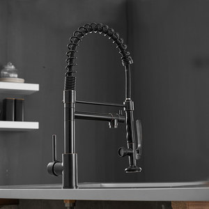 <span class=keywords><strong>ORB</strong></span> Vòi Nước Nhà Bếp, Thương Mại Kéo Xuống Bồn Rửa Nhà Bếp Vòi Nước Với Phun - Product Image 2