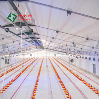 U-BEST Nouvelle ligne d'équipement d'alimentation automatique en plastique pour poulets de chair en élevage