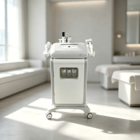 Appareil de soin du visage Aqua Facial à bulles d'eau oxygénée, hydrodermabrasion à jet d'oxygène, nettoyage en profondeur et rajeunissement de la peau