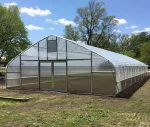 工厂价格低成本廉价隧道草莓单跨花卉温室养殖设备