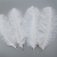 Plumes d'autruche blanches teintées en gros, 45-50 cm (18-20 po), pour fêtes, carnavals, bricolage et décoration de scène