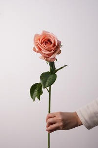 Fleurs artificielles de style européen 63 cm, roses <span class=keywords><strong>Vénus</strong></span> au toucher hydratant, fleurs réalistes vintage pour mariage et décoration intérieure - Product Image 4