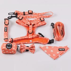 Custom Logo Neopreen Ontwerpers Hondenpoepzak Luxe Verstelbare Hondenharnas Kraag En Riem Set Met Bowtie Bandana - Product Image 1